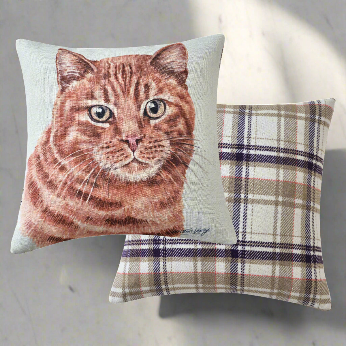 Ginger Cat Filled Seat Cushion